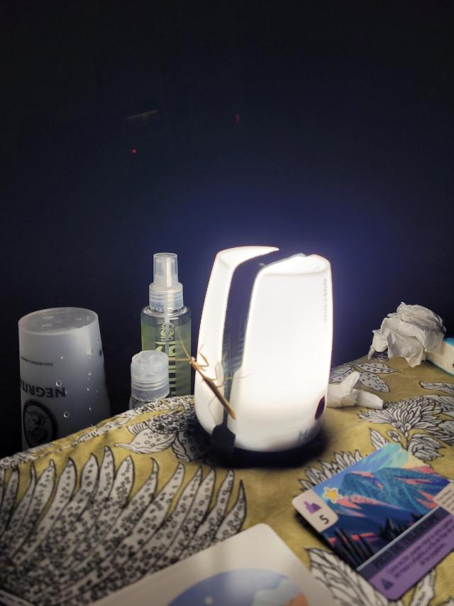 Valle de la Muerte sobre la taula, foto de Koa