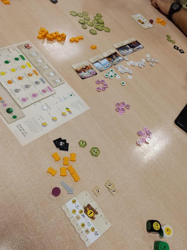 Dice Realms on the table, photo by Amy