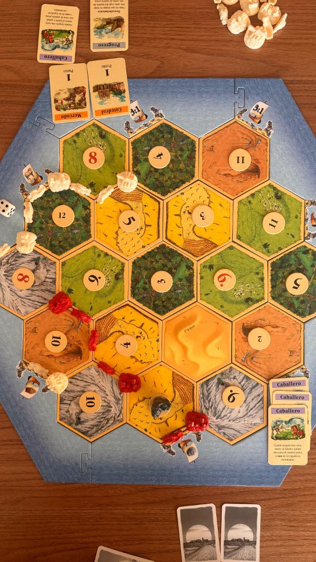 Catan sobre la taula, foto de Glòria