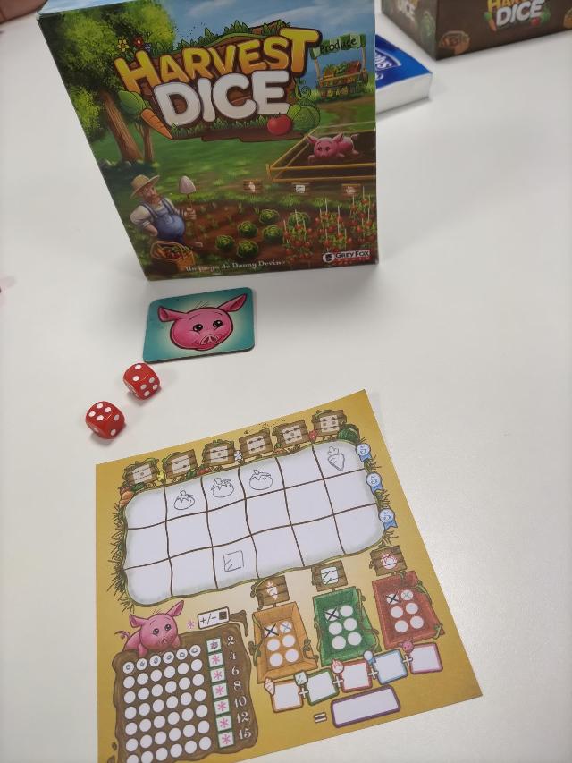 Harvest Dice on the table, photo by Amy