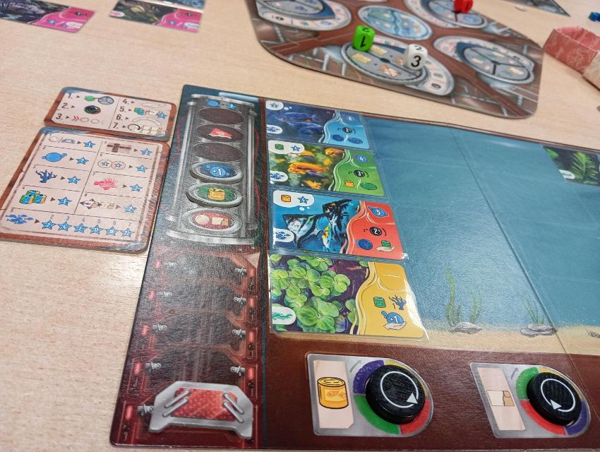 Aquaria on the table, photo by Estepo Estepoes