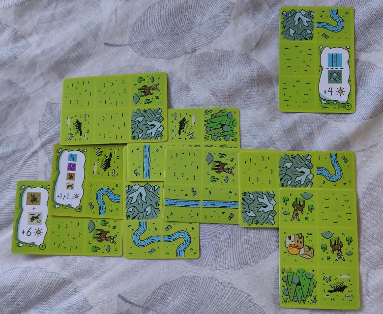 Confusing Lands на столе, фото: Fran Loga