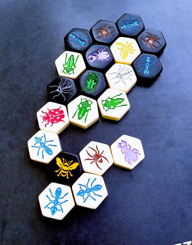 Hive Pocket on the table, photo by Daniel