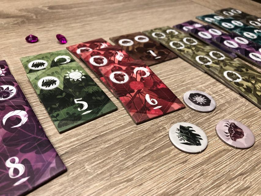 Spirits of the Forest on the table, photo by Laura V.