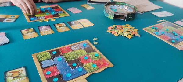 Mycelia on the table, photo by Shinychi3