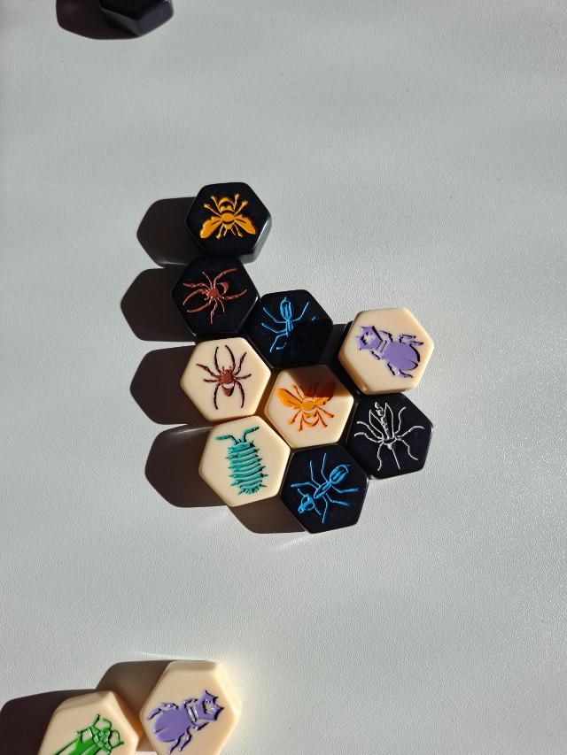 Hive Pocket on the table, photo by Artur Rodríguez Coma