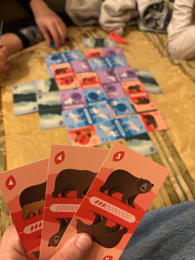 Just Wild on the table, photo by Nina