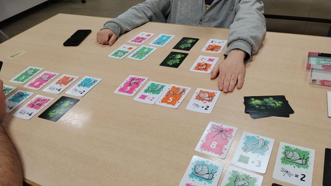 Symbiosis on the table, photo by Amy