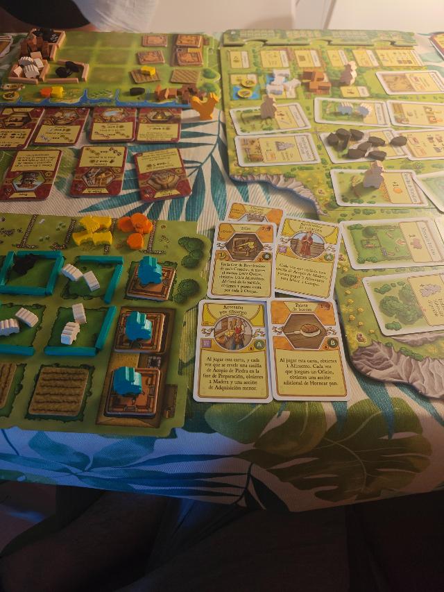 Agricola 15 auf dem Tisch, Foto von Mario Them