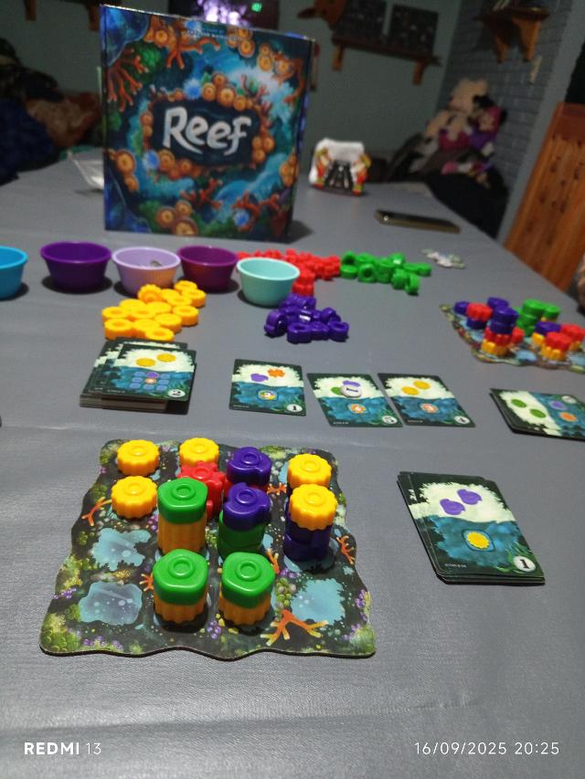 Reef auf dem Tisch, Foto von MarFe MaAn