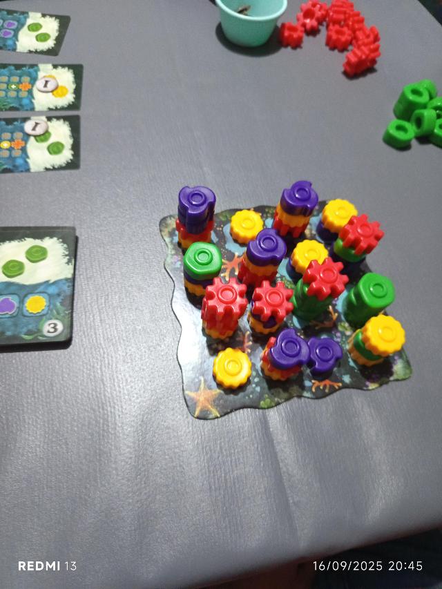 Reef auf dem Tisch, Foto von MarFe MaAn
