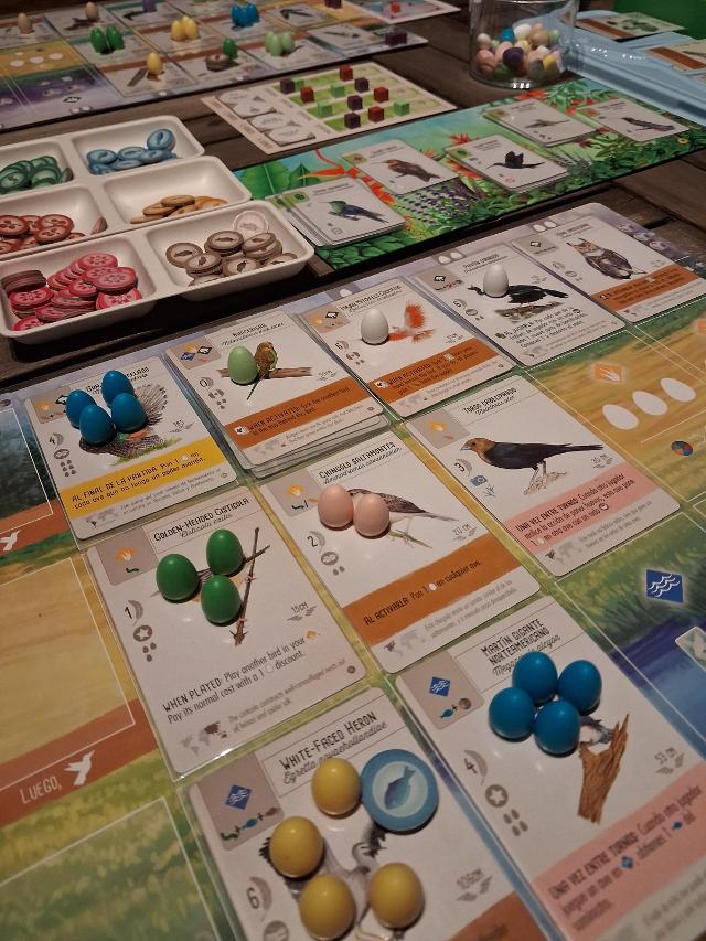 Wingspan on the table, photo by Bea