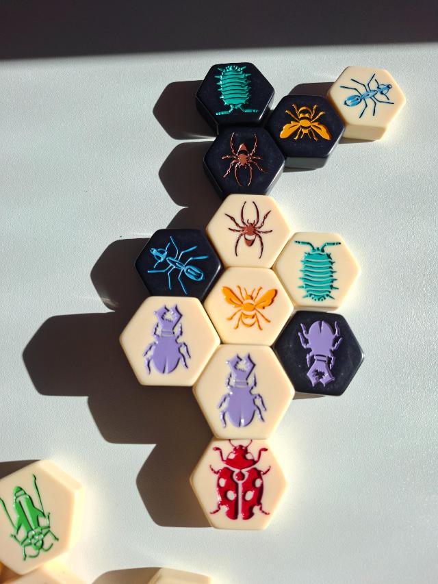 テーブル上のHive(写真:Artur Rodríguez Coma)