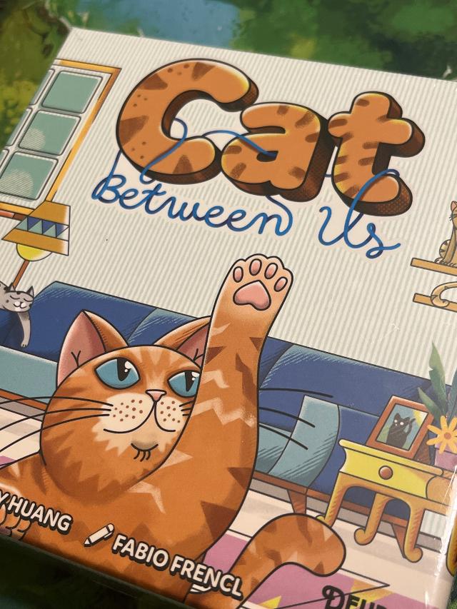 Cat Between Us på bordet, bilde av Sergio Zer