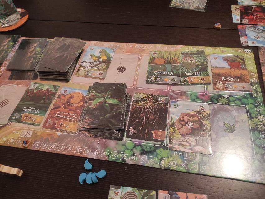 Rewild: South America on the table, photo by Pauliss