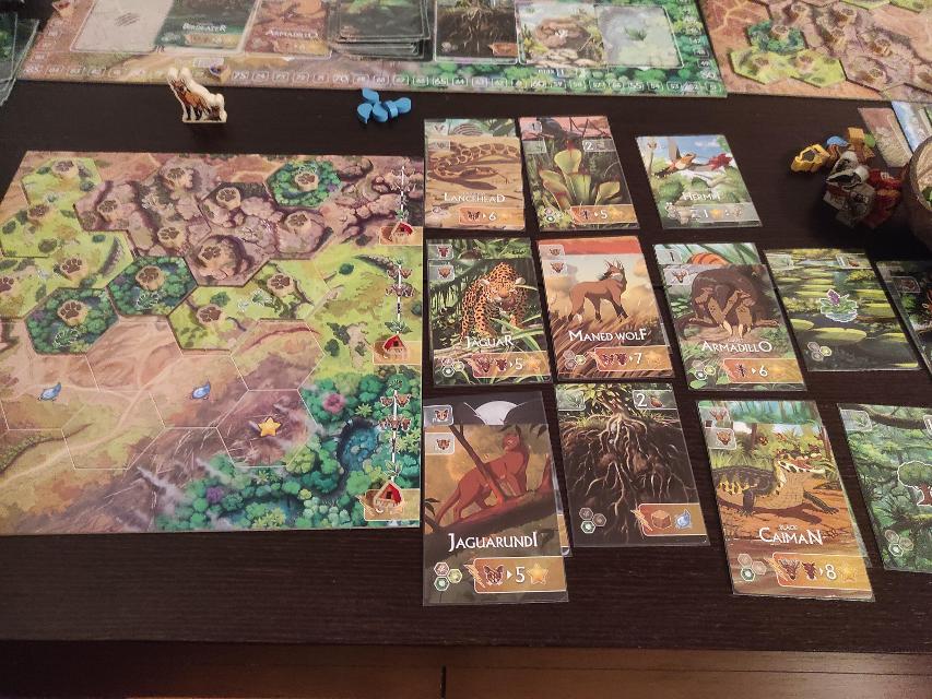 Rewild: South America on the table, photo by Pauliss