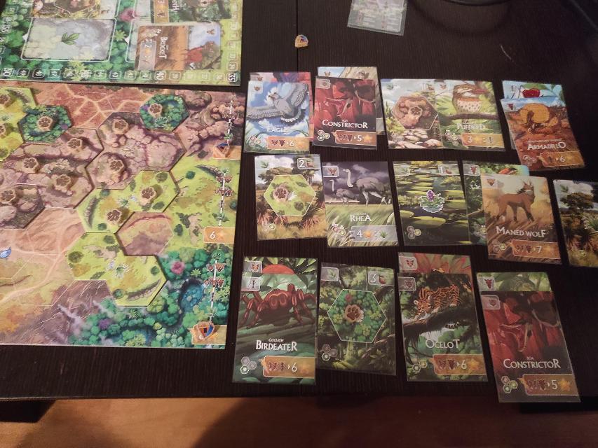 Rewild: South America on the table, photo by Pauliss