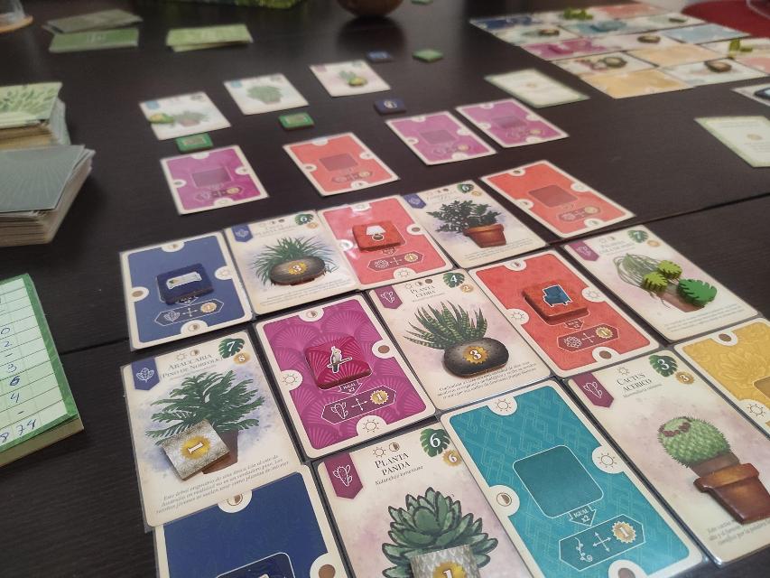 Verdant on the table, photo by Pauliss