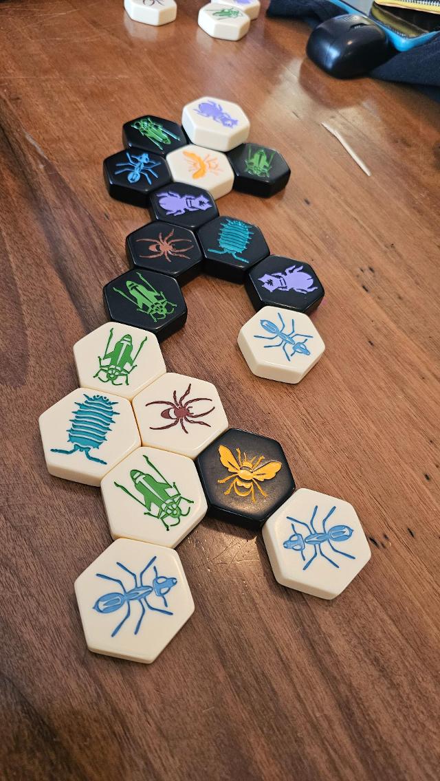 テーブル上のHive(写真:Gent Canaj)