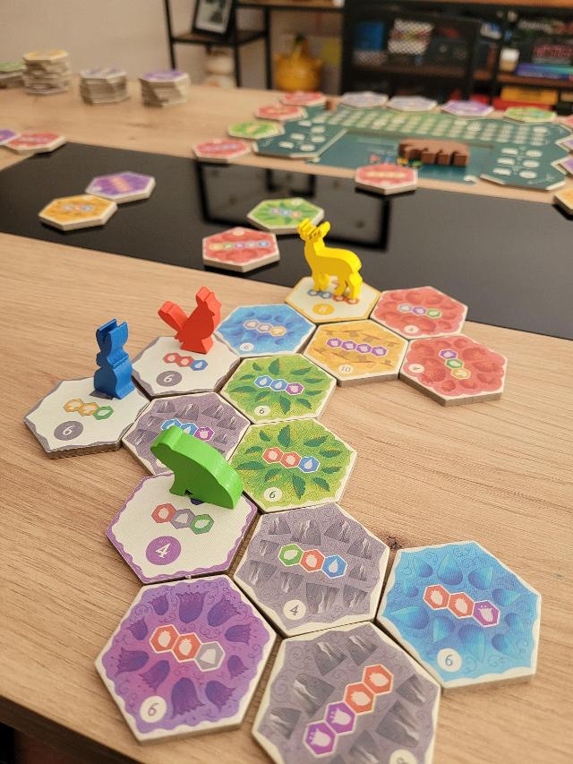 Wild Space sur la table, photo de Koa