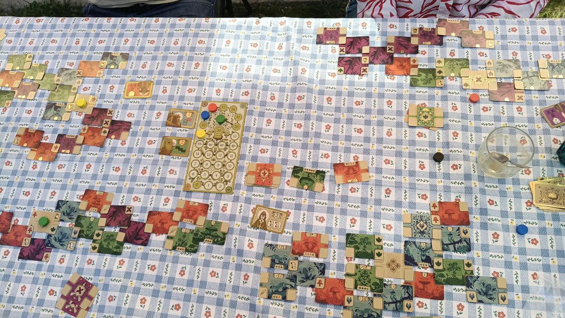 Codex Naturalis na stole, zdjęcie: Gemma GonVil