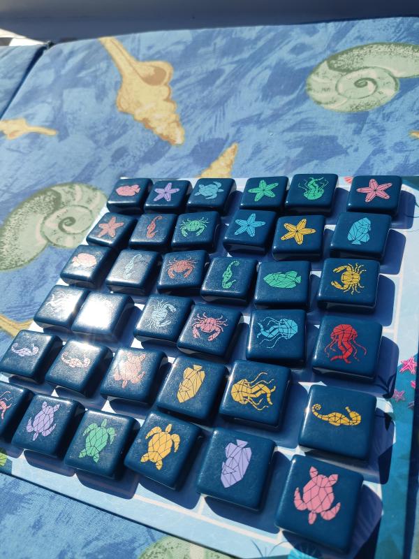 Aqualin on the table, photo by tienlevy