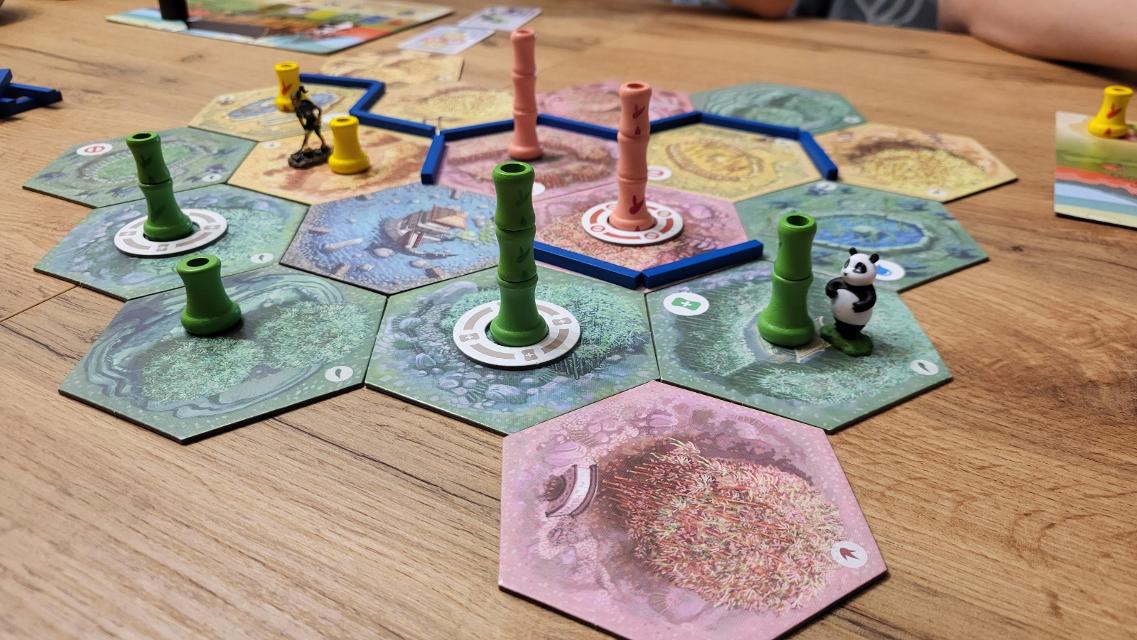 Takenoko на масата, снимка: Borja Giner