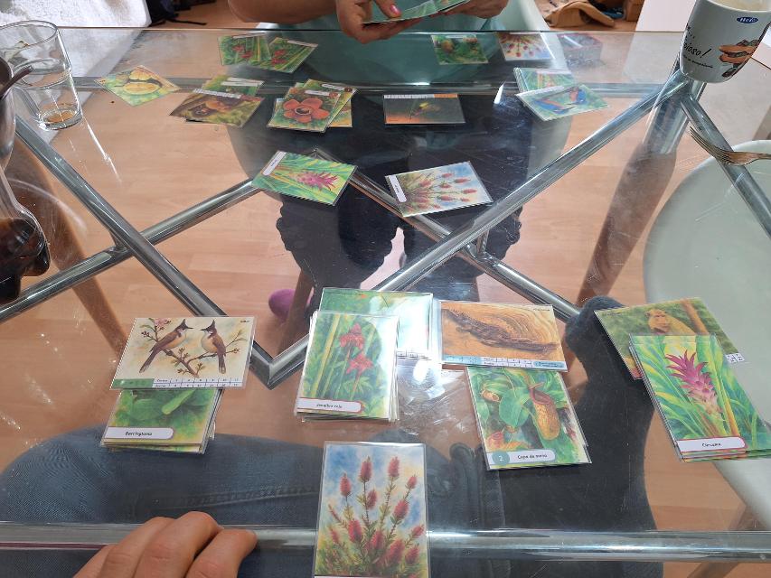 テーブル上のハーベイシャスカードゲーム（写真：Artur Rodríguez Coma）