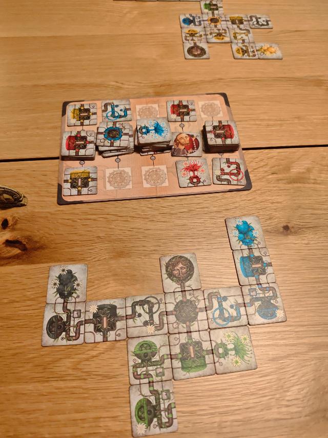 Botanik on the table, photo by tienlevy