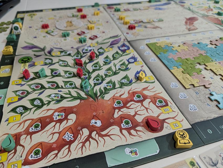 The Voynich Puzzle on the table, photo by Kabra