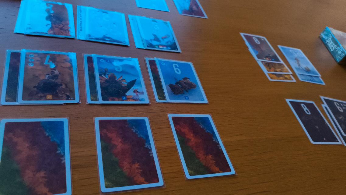 Pixies on the table, photo by Mochilo