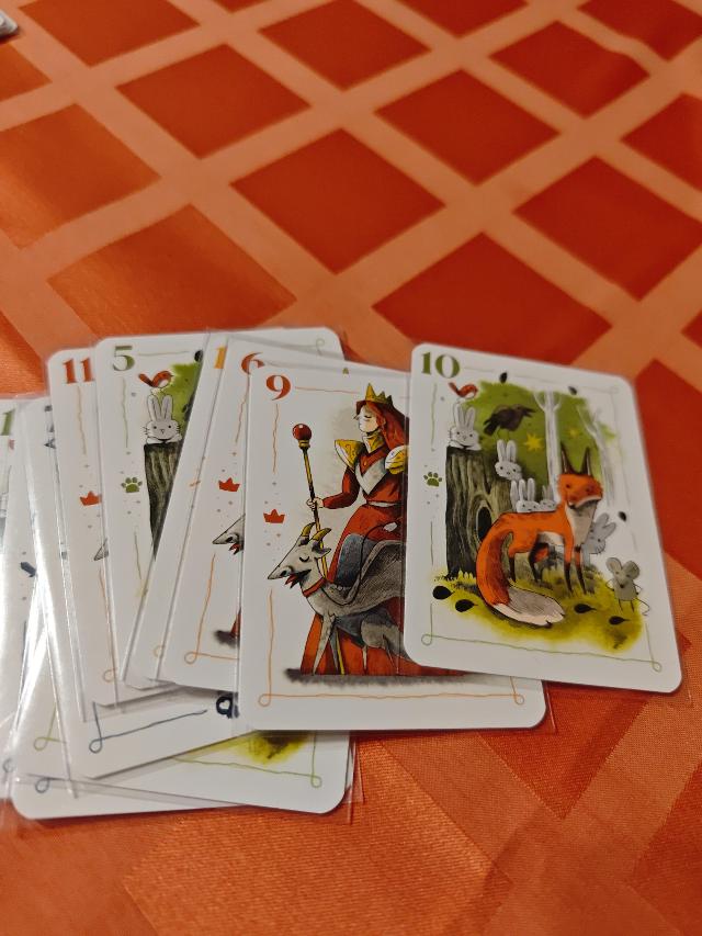 Rebel Princess: 2nd Edition on the table, photo by tienlevy