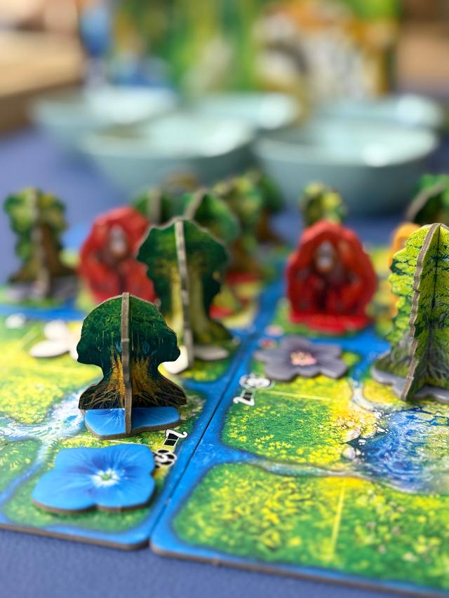 桌上的Hutan: Life in the Rainforest,照片来自 Grouchina