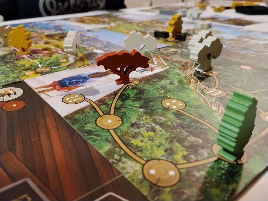Floresta on the table, photo by Amy