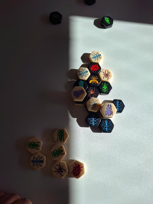 Hive Pocket on the table, photo by Artur Rodríguez Coma