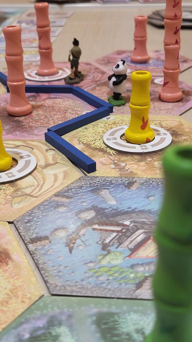 Takenoko на масата, снимка: Borja Giner