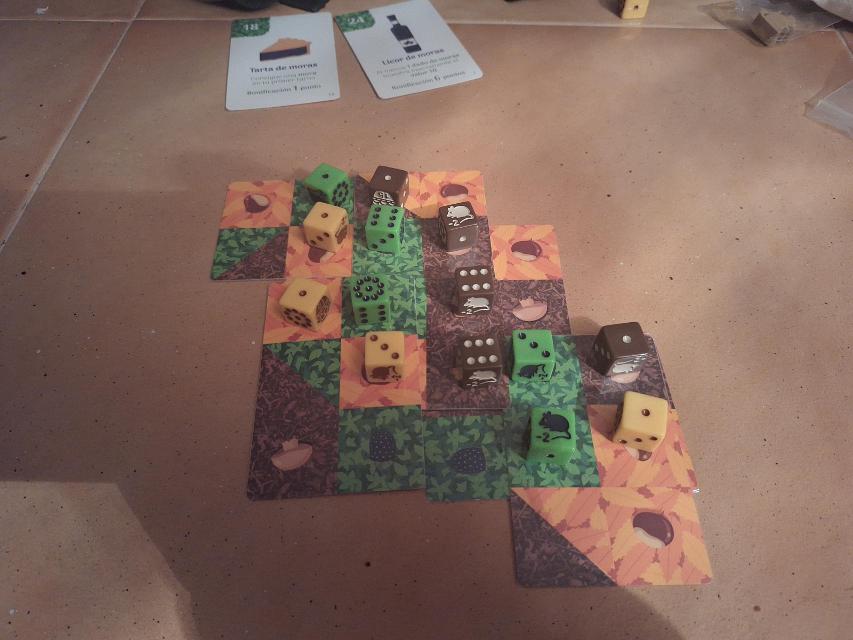 Forage: A 9 card solitaire game on the table, photo by Artur Rodríguez Coma