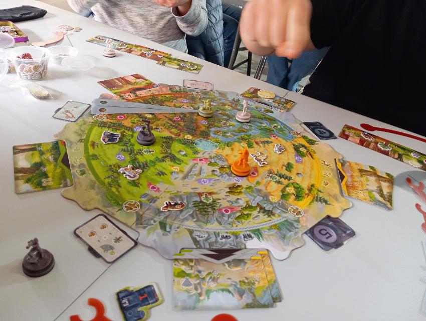 Redwood pöydällä, kuva: Estepo Estepoes