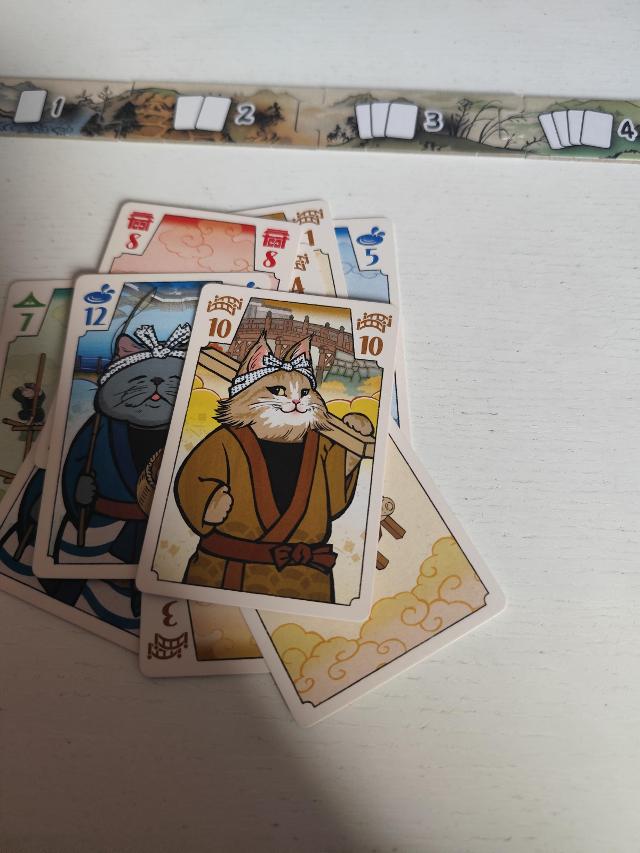 CATsle Builders on the table, photo by Fran M