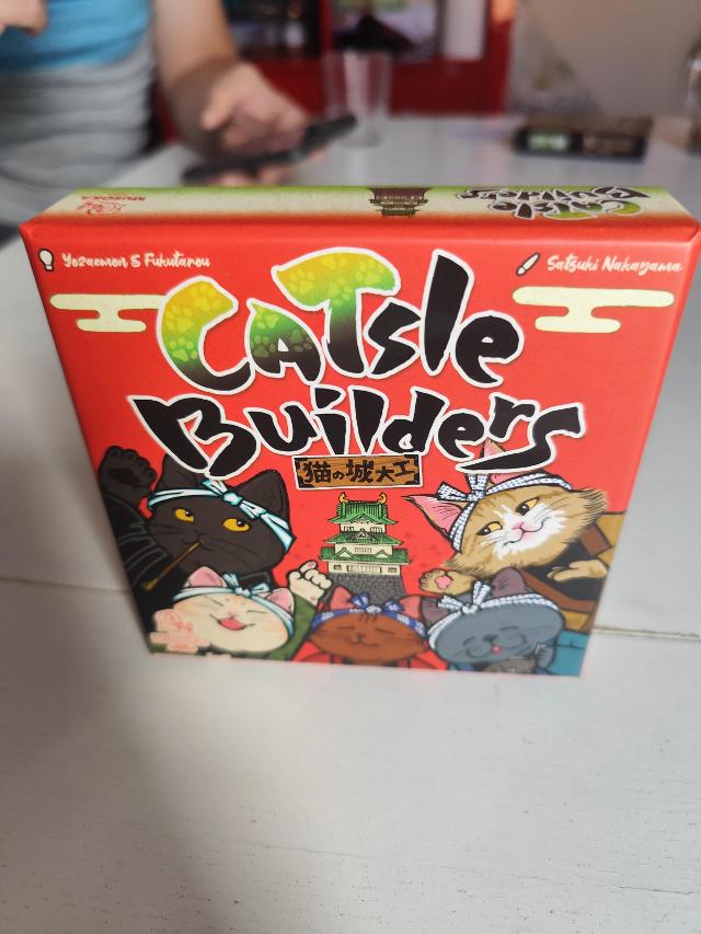 CATsle Builders on the table, photo by Fran M