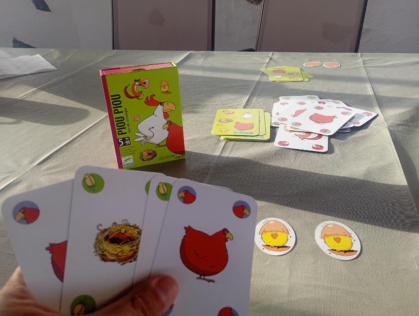 Piou Piou on the table, photo by Alejandro Bethencourt