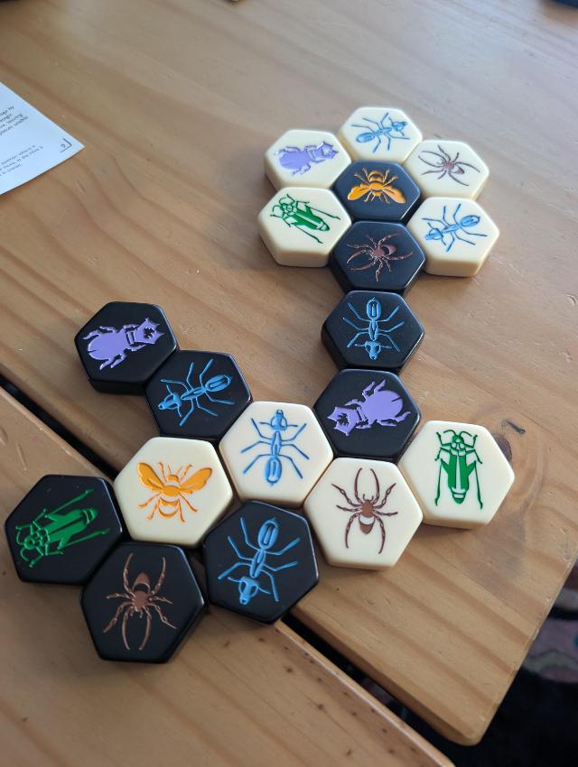 テーブル上のHive(写真:Brandon Storm)