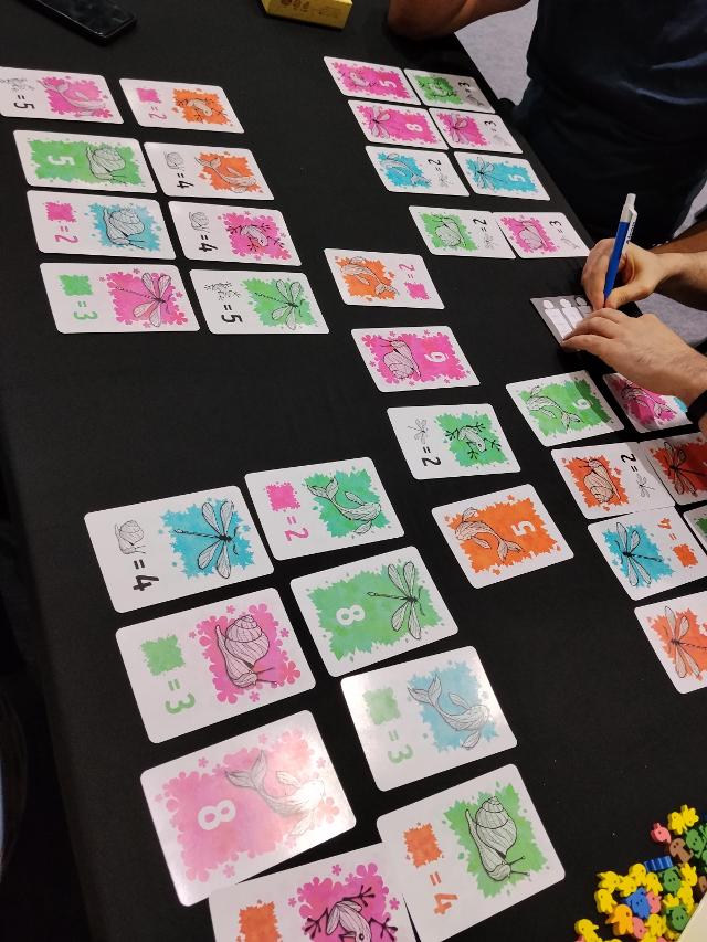 Symbiosis on the table, photo by Amy