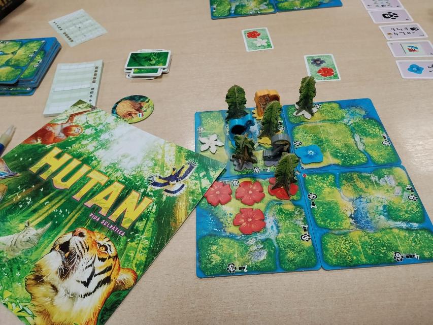테이블 위의 Hutan: Life in the Rainforest, 사진: Amy