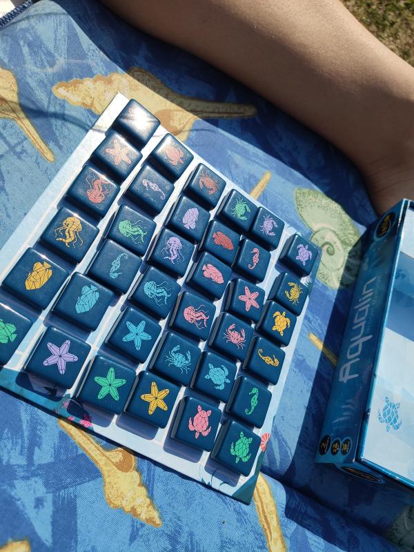 Aqualin on the table, photo by tienlevy