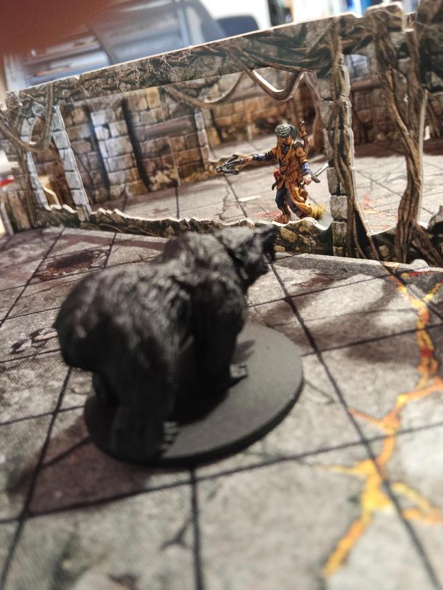 Maladum: Dungeons of Enveron na stole, zdjęcie: Morriondo