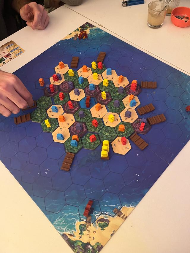 Survive The Island on the table, photo by rox