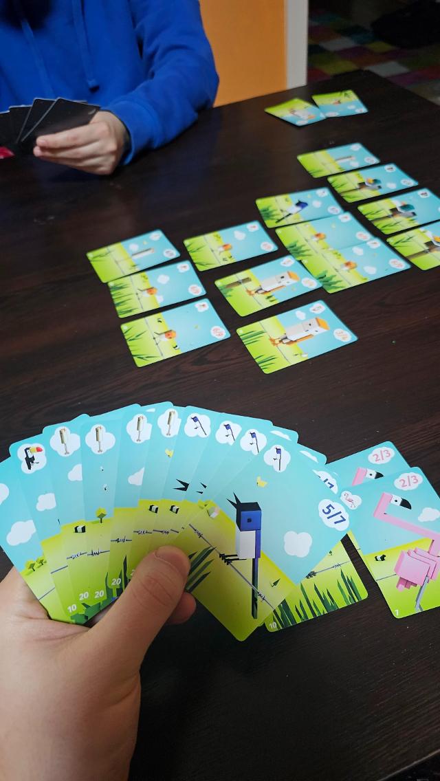 桌上的CuBirds,照片来自 Gent Canaj