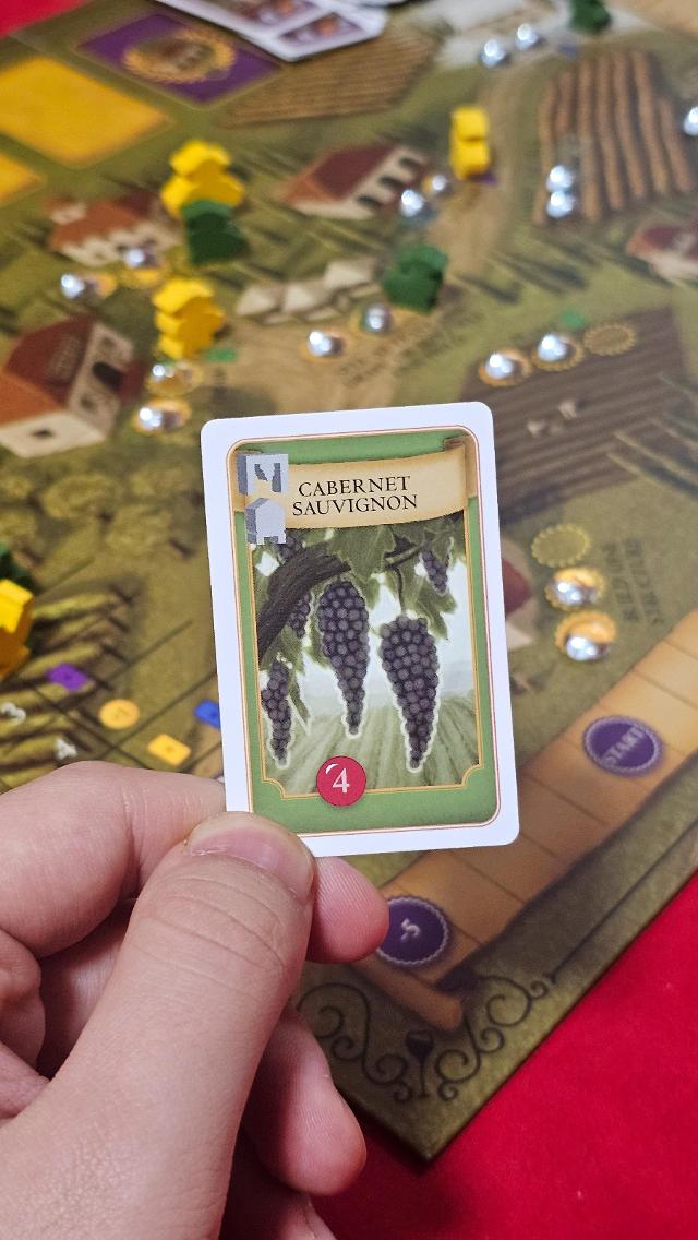 Viticulture Essential Edition on the table, photo by Gent Canaj