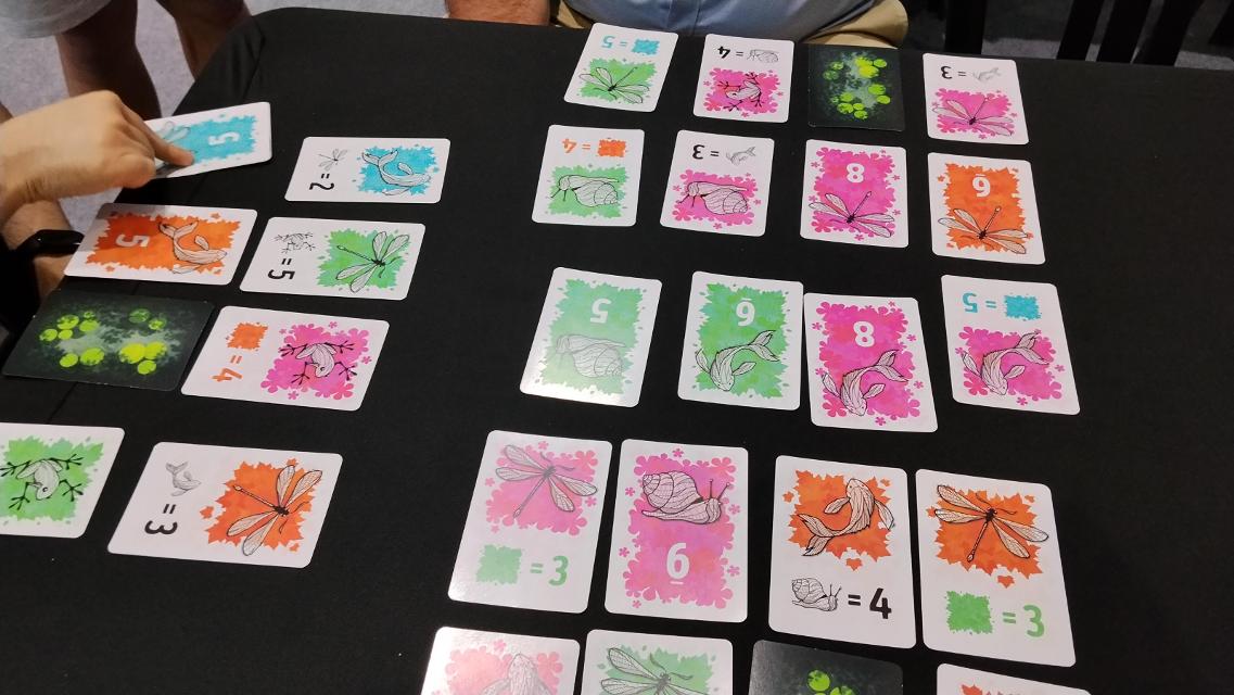 Symbiosis on the table, photo by Amy